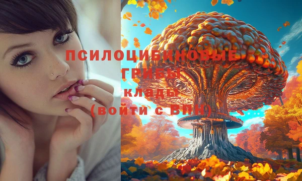скорость Елабуга