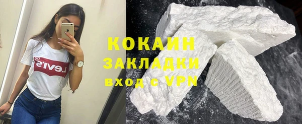 spice Ельня